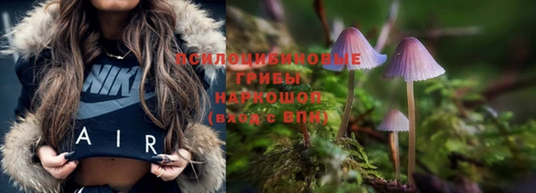 jwh Арсеньев