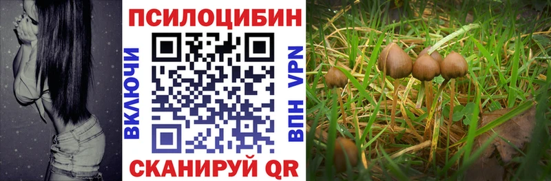 Галлюциногенные грибы прущие грибы  сколько стоит  Ипатово 